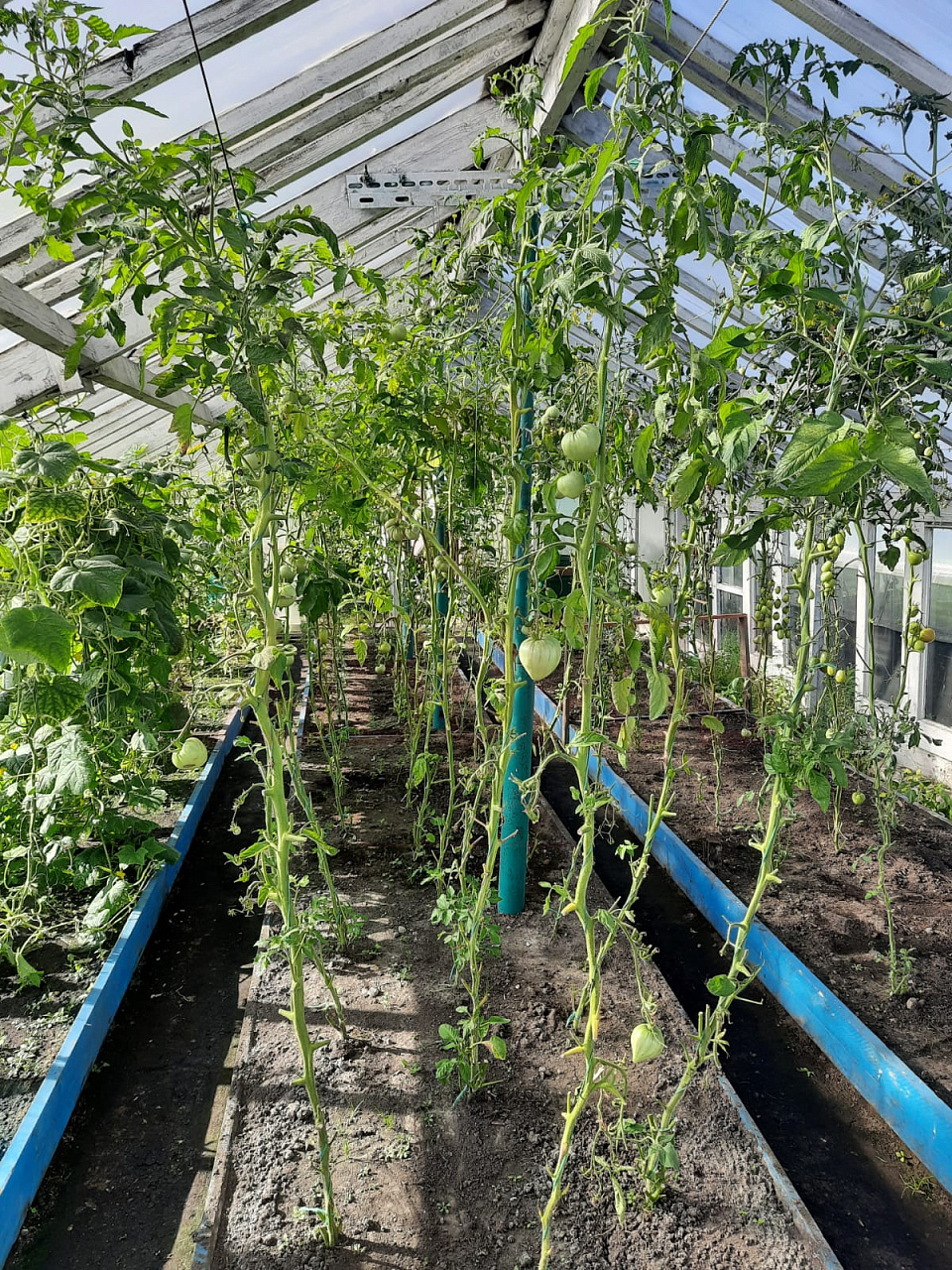 Дом/Коттедж | -комнатный | 65 м.кв. | 1780000.00 руб.