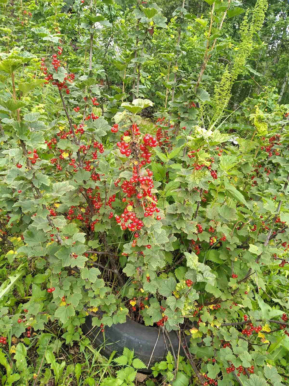 Дома, дачи, коттеджи | -комнатный | 84 м.кв. | 3500000.00 руб.