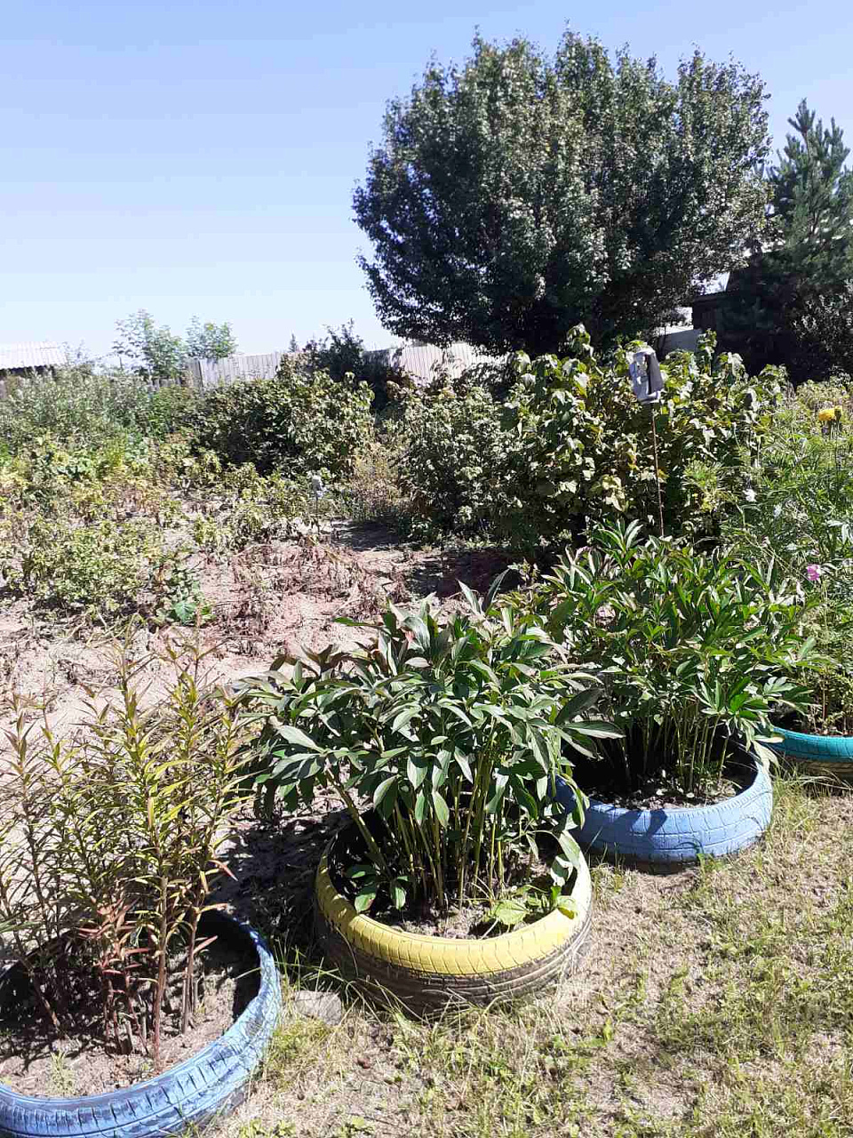 Дом/Коттедж | -комнатный | 45 м.кв. | 2600000.00 руб.