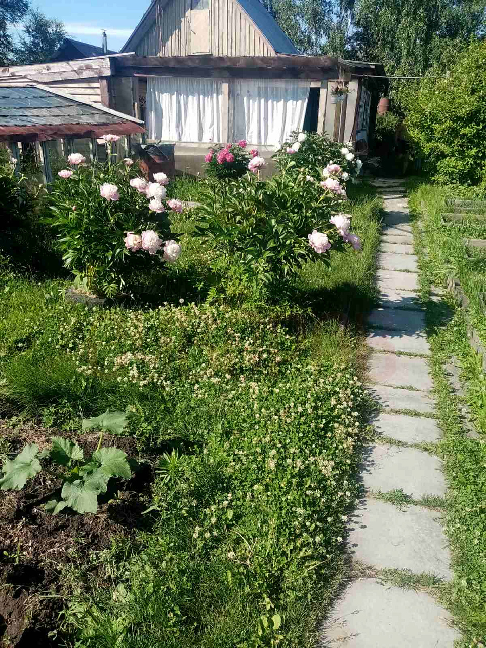 Дома, дачи, коттеджи | -комнатный | 45 м.кв. | 1150000.00 руб.